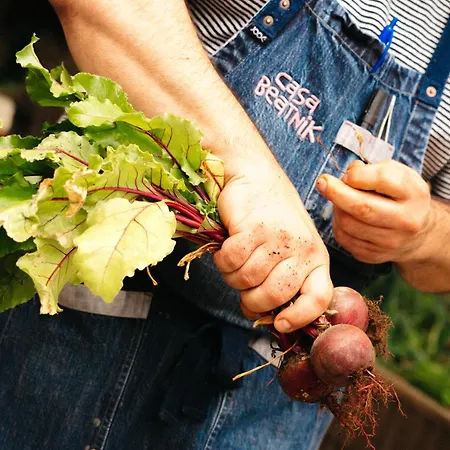 Casa Beatnik * Vedra