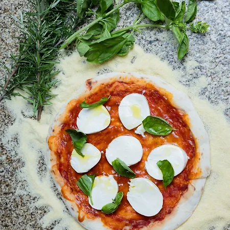 Hotel Casa Beatnik *