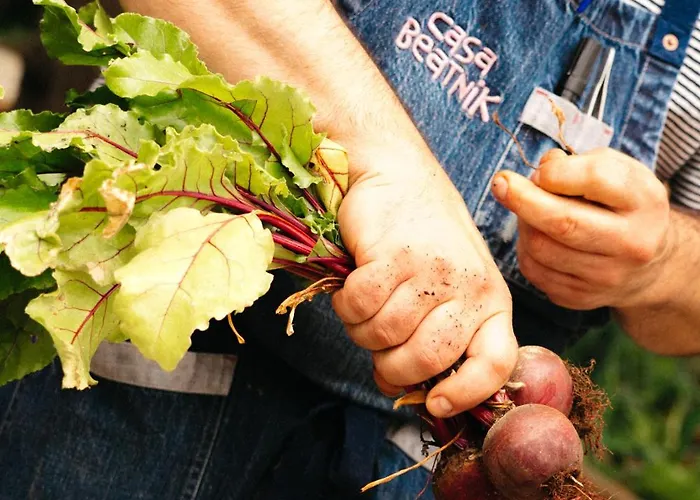 Casa Beatnik * Vedra